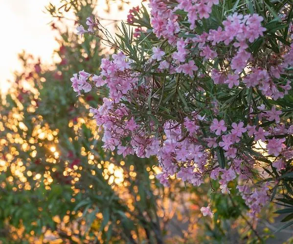 Πάρκο διακοπών Piccolo Paradiso *